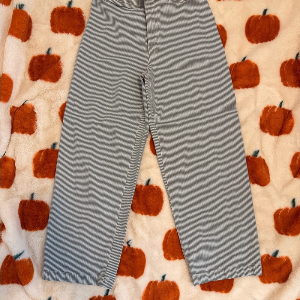 Madewell Striped Wide Leg Pants - Blue and White